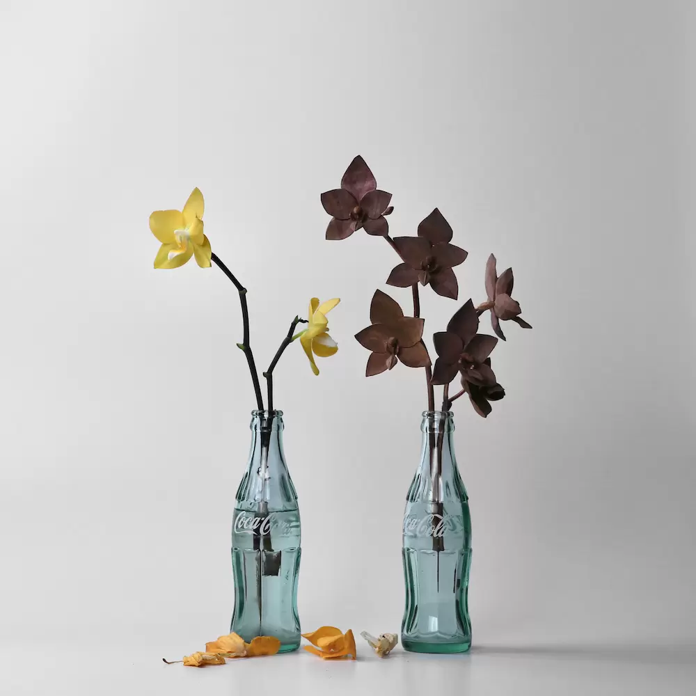 長谷川寛示 個展『decay, remains』 | ArtSticker