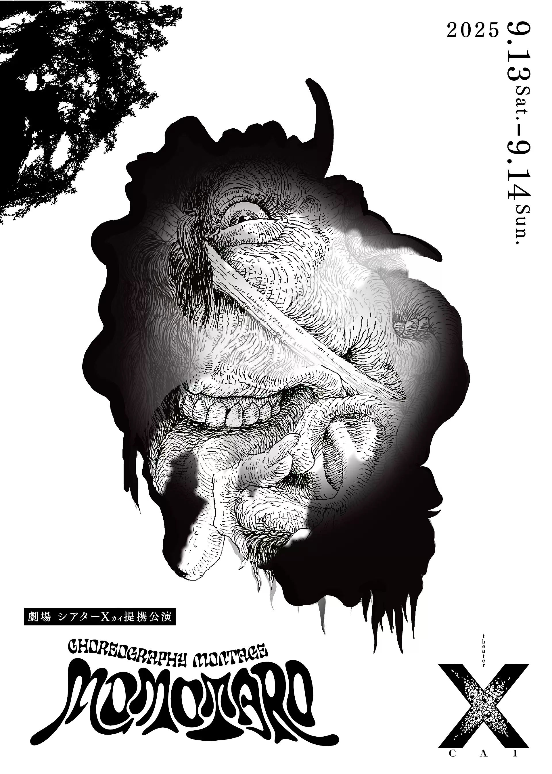 コレオグラフィモンタージュ「MOMOTARO」 | ArtSticker