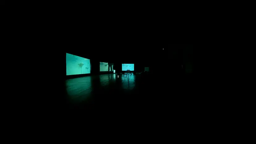 中之条ビエンナーレ2021 スペシャル・パフォーマンス 『Under the Deep』韓成南作品 チケット予約
