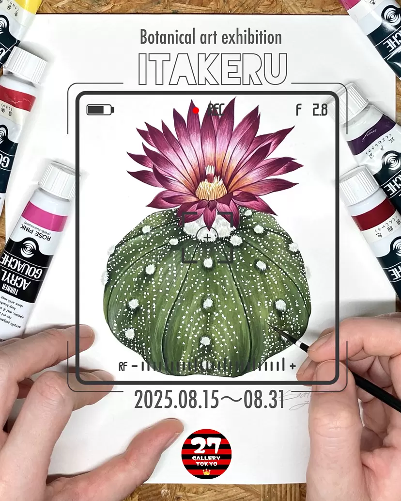 ITAKERU