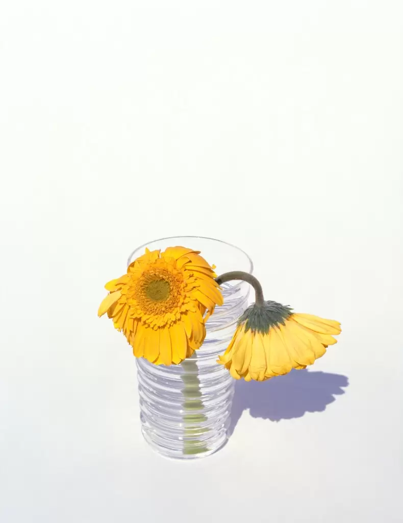 上田義彦 「FLOWERS」 | ArtSticker