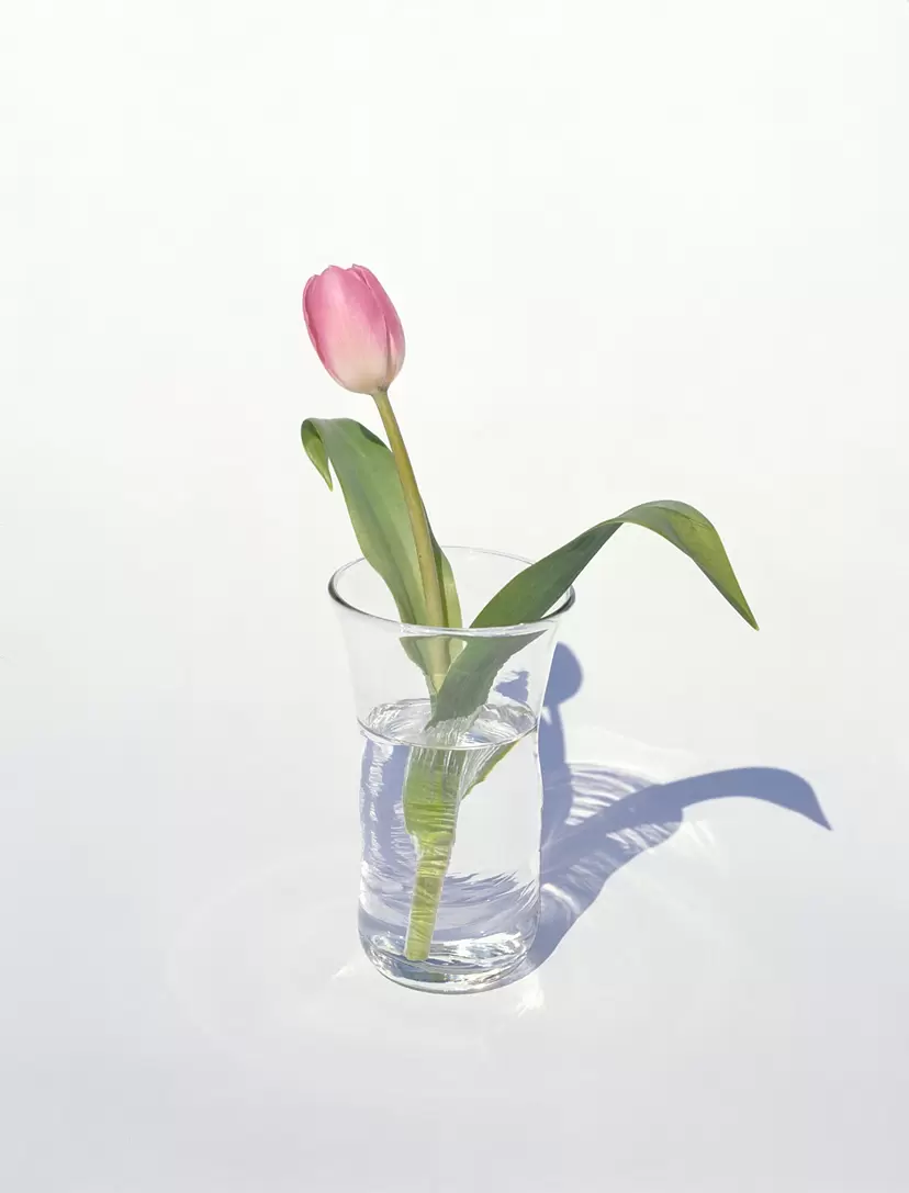 上田義彦 「FLOWERS」 | ArtSticker