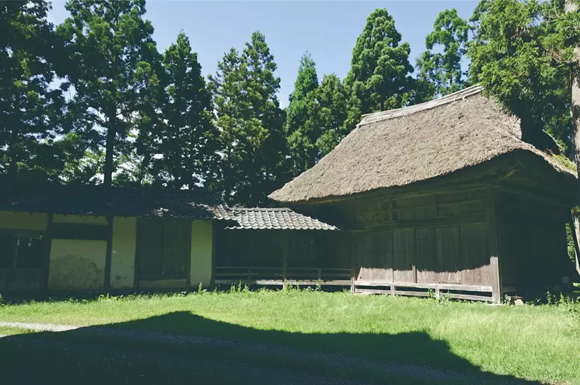 探索 NOH — 能乐表演和动手工作坊，在休眠了很长一段时间后，在能乐舞台上重获新生