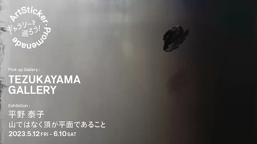 TEZUKAYAMA GALLERY / 平野泰子「山ではなく頂が平面であること」 - ArtSticker Promenade 