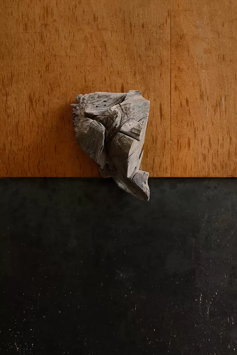 Shigeo TOYA “Body of the Gaze: Semi-Sculpture”