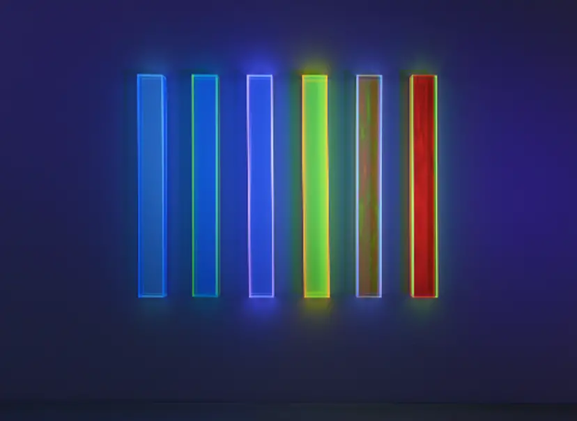 レギーネ・シューマン展 immersion in fluorescent light | ArtSticker