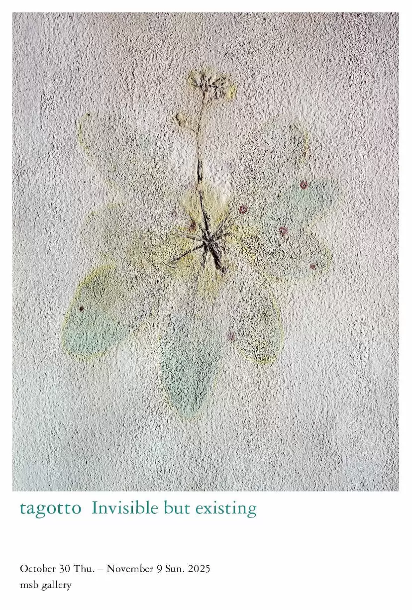 ル コルビュジエ ピエール ジャンヌレ 白い家 作品集 ペリアン 吉阪隆正 ル・コルビュジエ、ピエール・ジャンヌレ、シャルロット