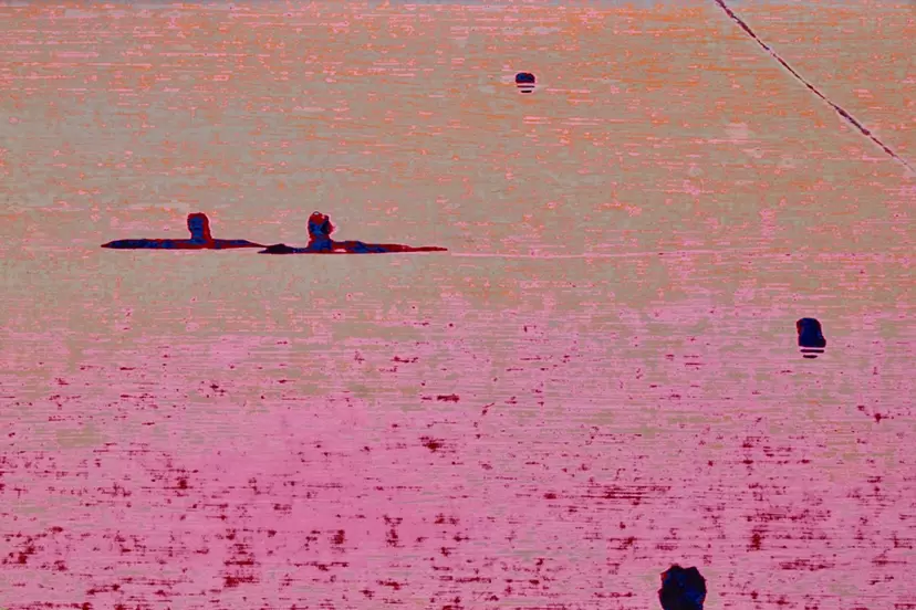 stakes / stakes on the water
