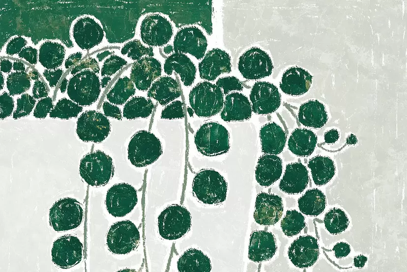COLOR PLANTS ART