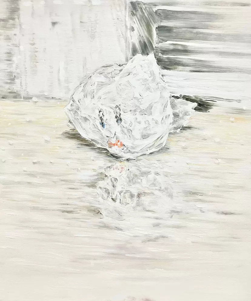 ジャコメッティ作品集  イヴ・ボヌフォワ著 清水茂訳 リブロポート ジャコメッティ作品集 : 彫刻・絵画・オブジェ・デッサン・石