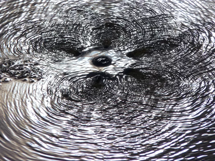 Surfaces_08