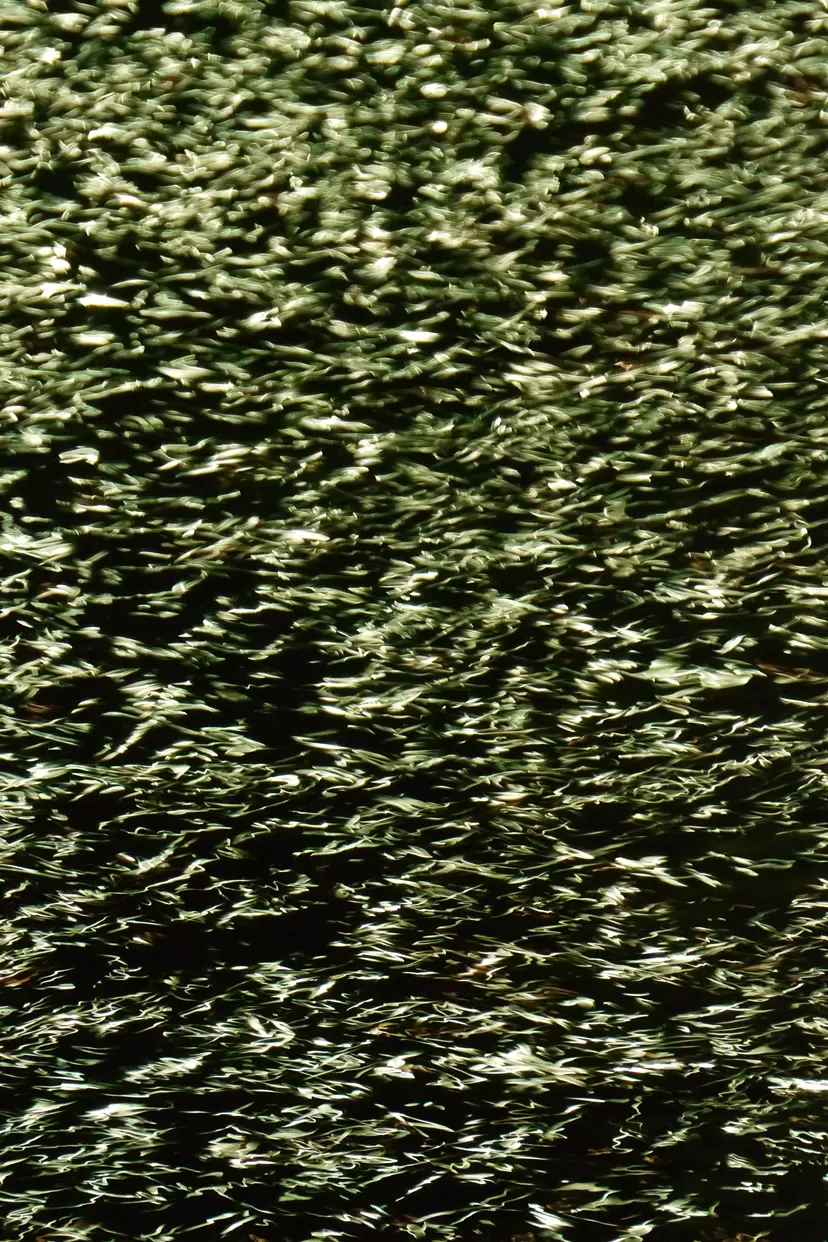 Surfaces_16