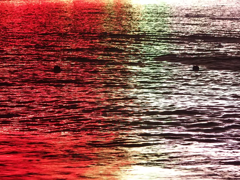 Surfaces_28