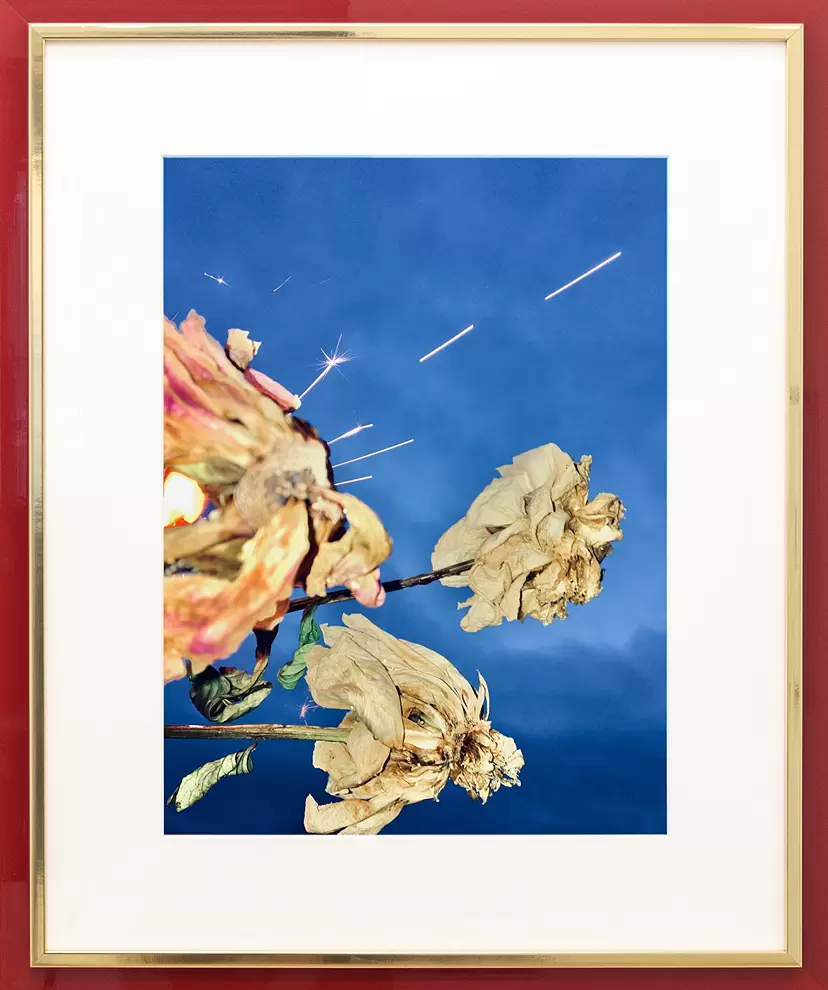 Summer Solstice 2020 by 渡邊 聖子 | 現代アートの販売・通販 | ArtSticker