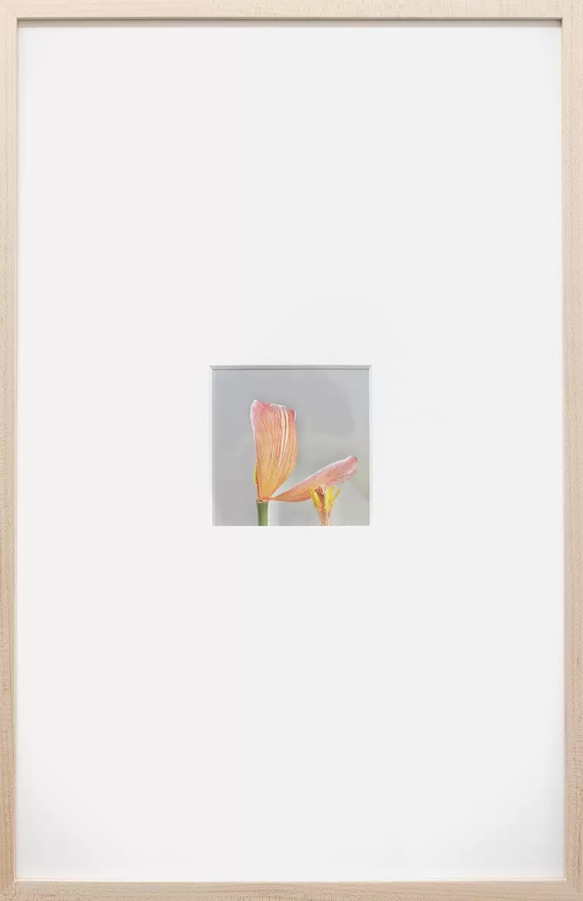 火