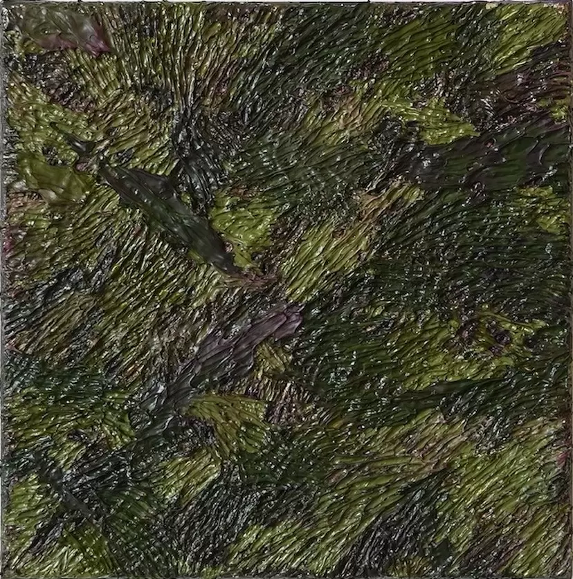 草むら