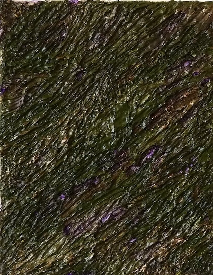 草むら