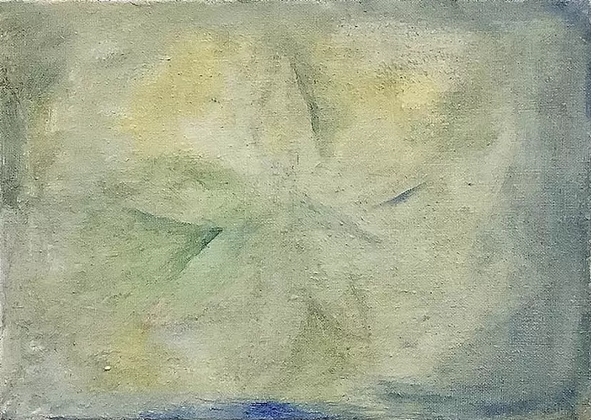 星の花