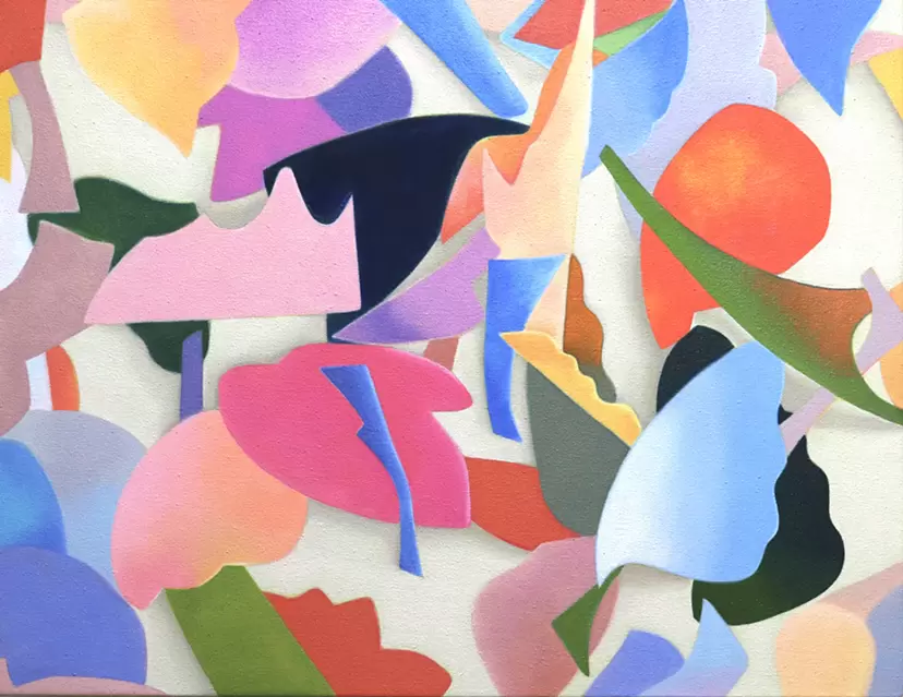 鸟类
