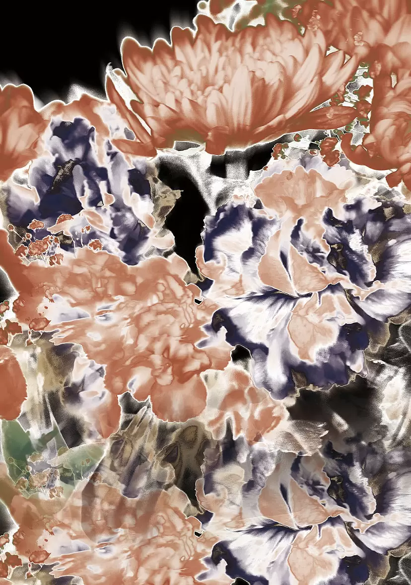 Carnations and Chrysanthemums 01 (2024)