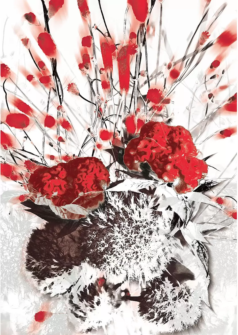 Cockscomb（Keitou）(2024)