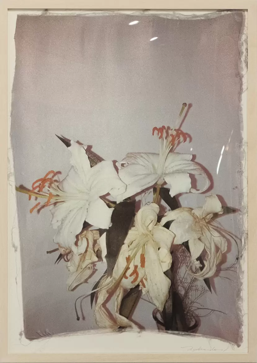 Swaying Flowers_6