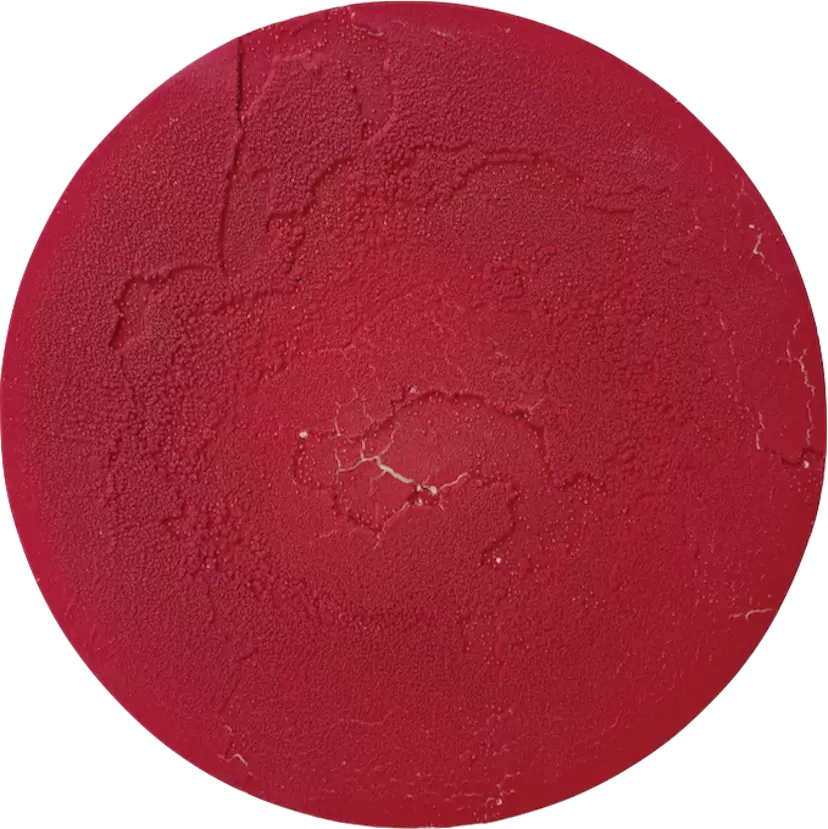Strata #Magma