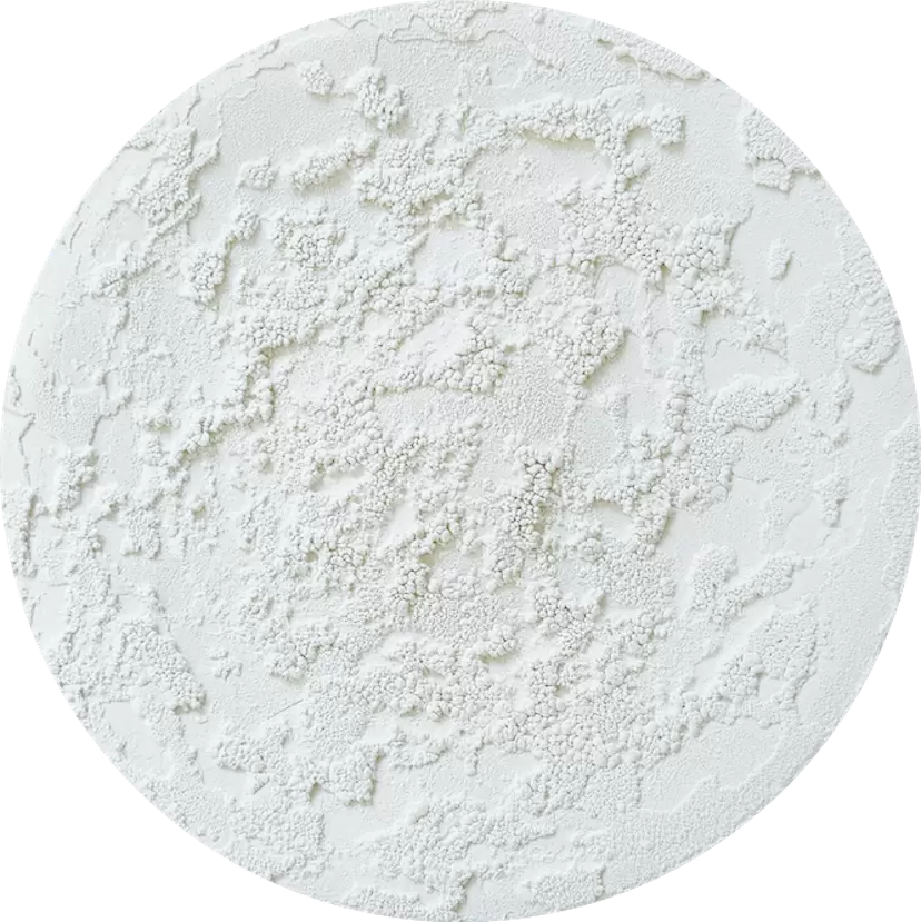 Strata #White Forest