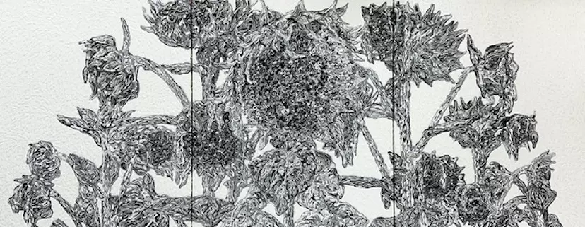 Sun Flower 0936 0324 2023