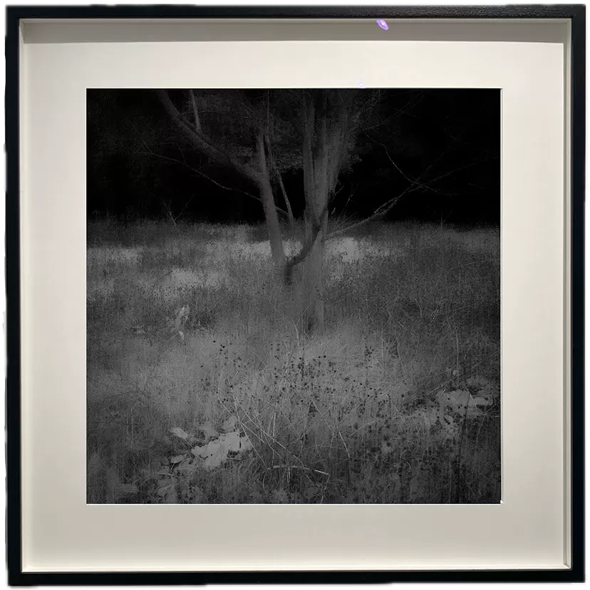 Somewhere not Here #053