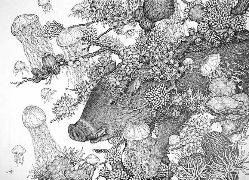 Cnidaria Forest -Boar-