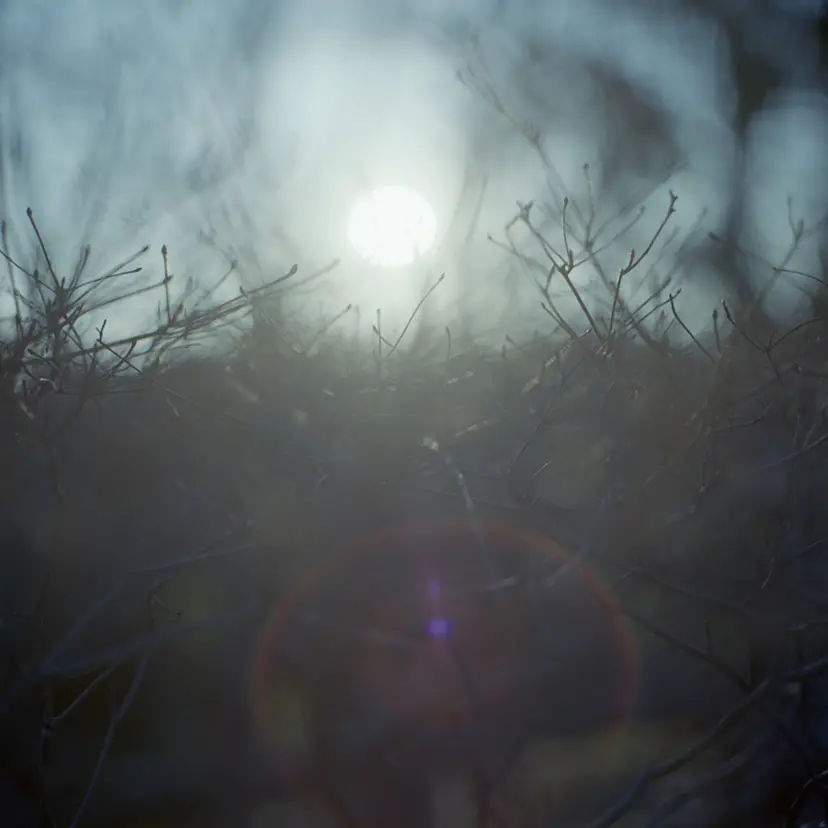 Looking for light#1