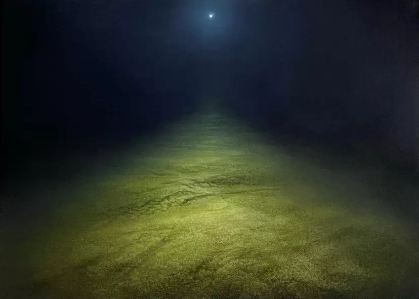 展望 268  “この外（ほか）に道なし“（武者小路実篤）