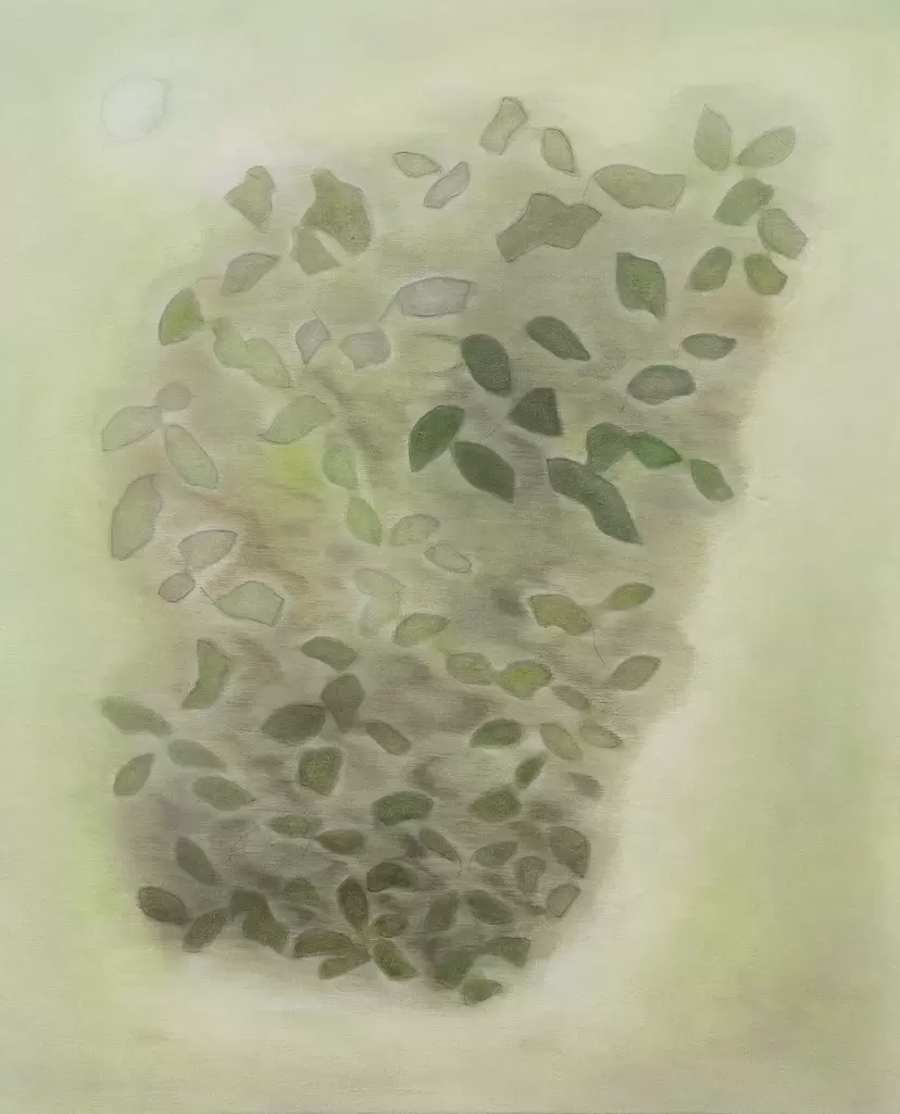 Tender Shrubs 軟綠叢