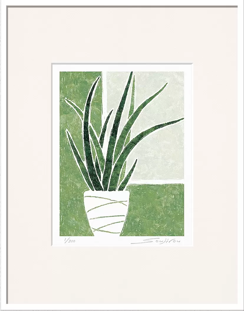 Sansevieria (CP-006-4, half cut)