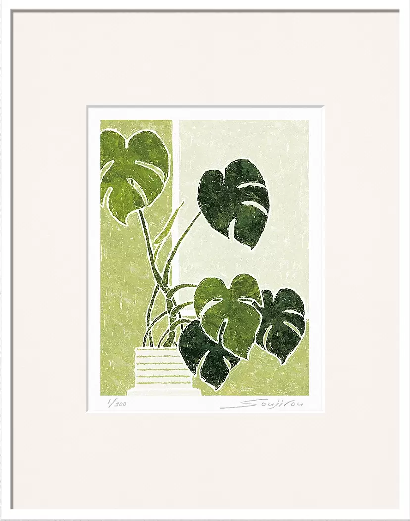 Monstera（CP-007-4，半切）