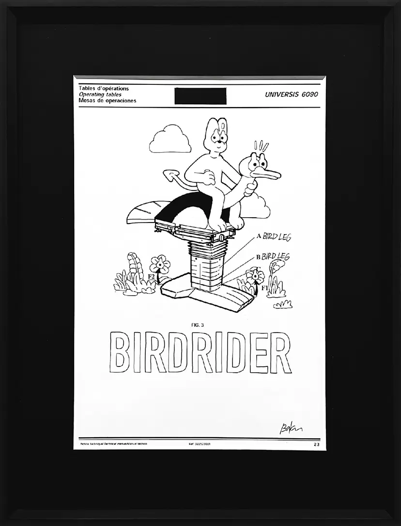 BIRD RIDER