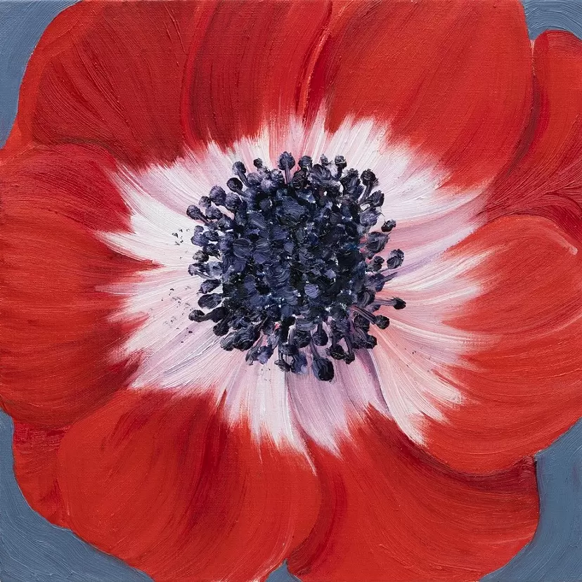 anemone