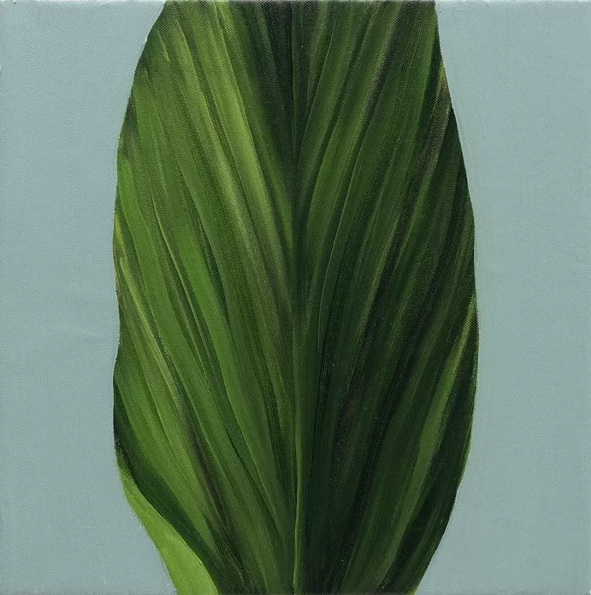 leaf