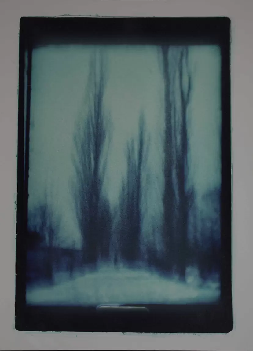 Sapporo,2008
