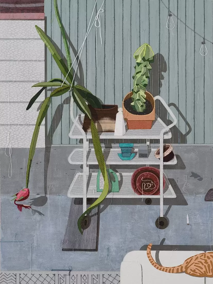My two best cactuses on grandma’s wheelie cart thing…and Kid