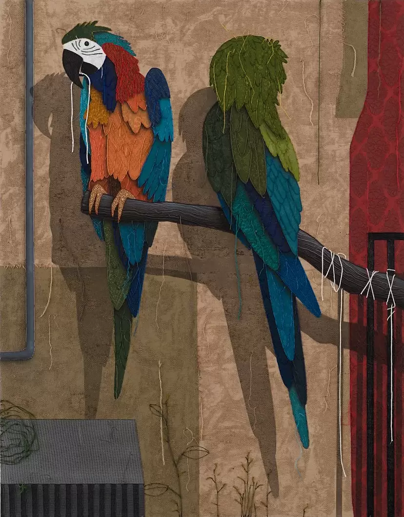 The parrots from Beto’s used tires