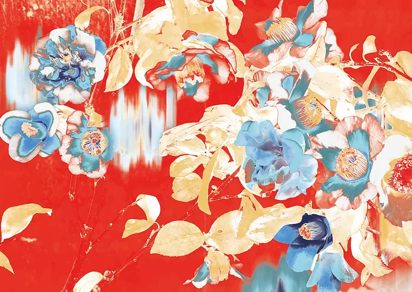 Camellia(2025)