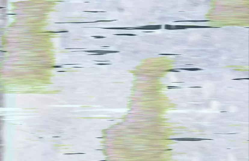 miso揺らぎ