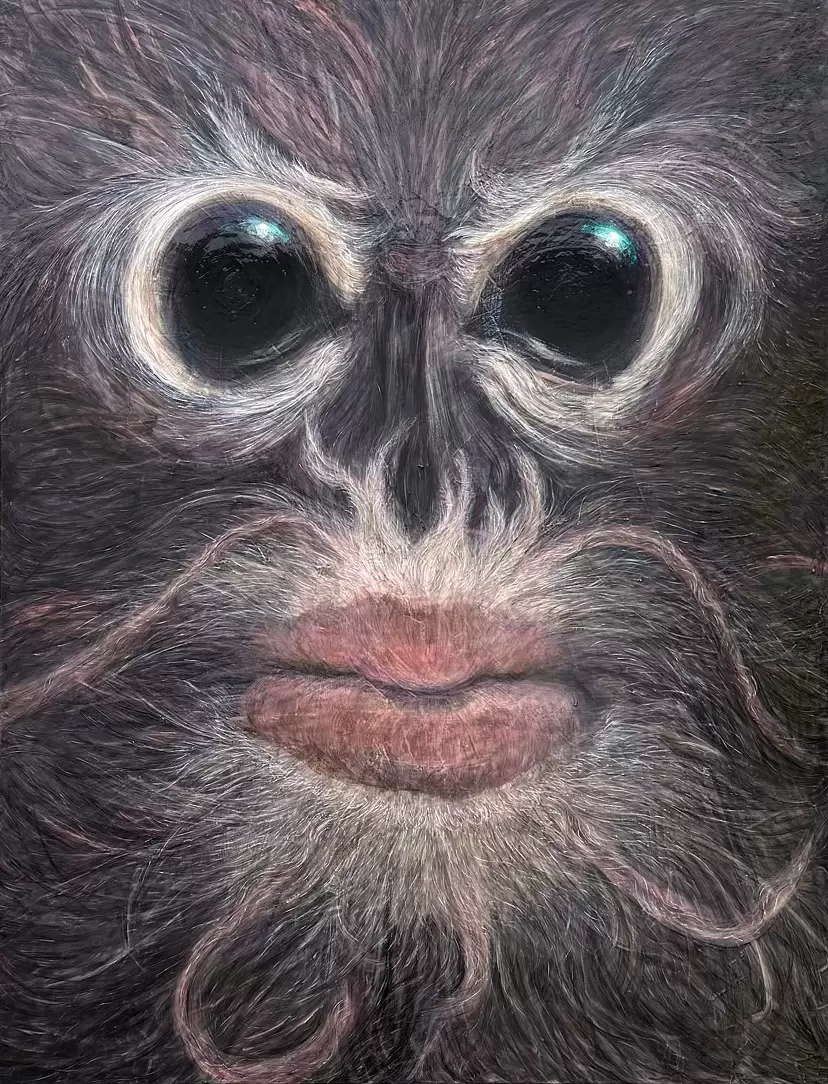 Catfish Monkey 