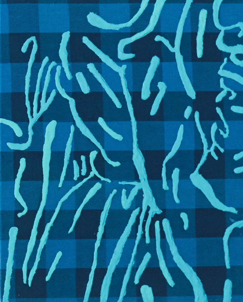 「Plaid 04」  