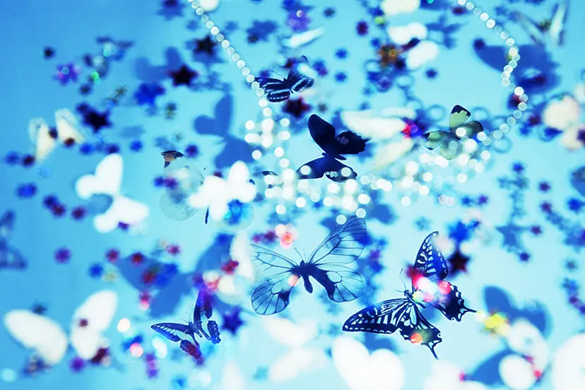 Blue Butterfly