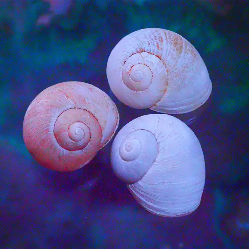 Hybrid_P7130054