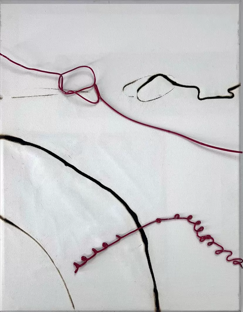 Cord 1