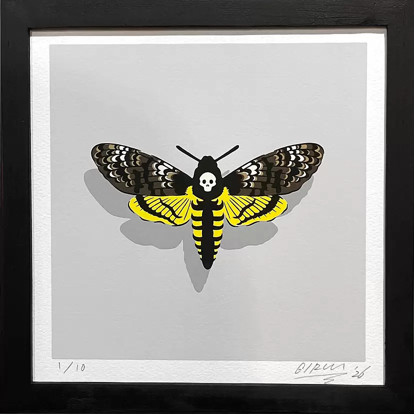 Acherontia #1